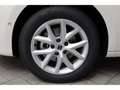 SEAT Leon 1.5 eTSI Road Edition Weiß - thumbnail 17