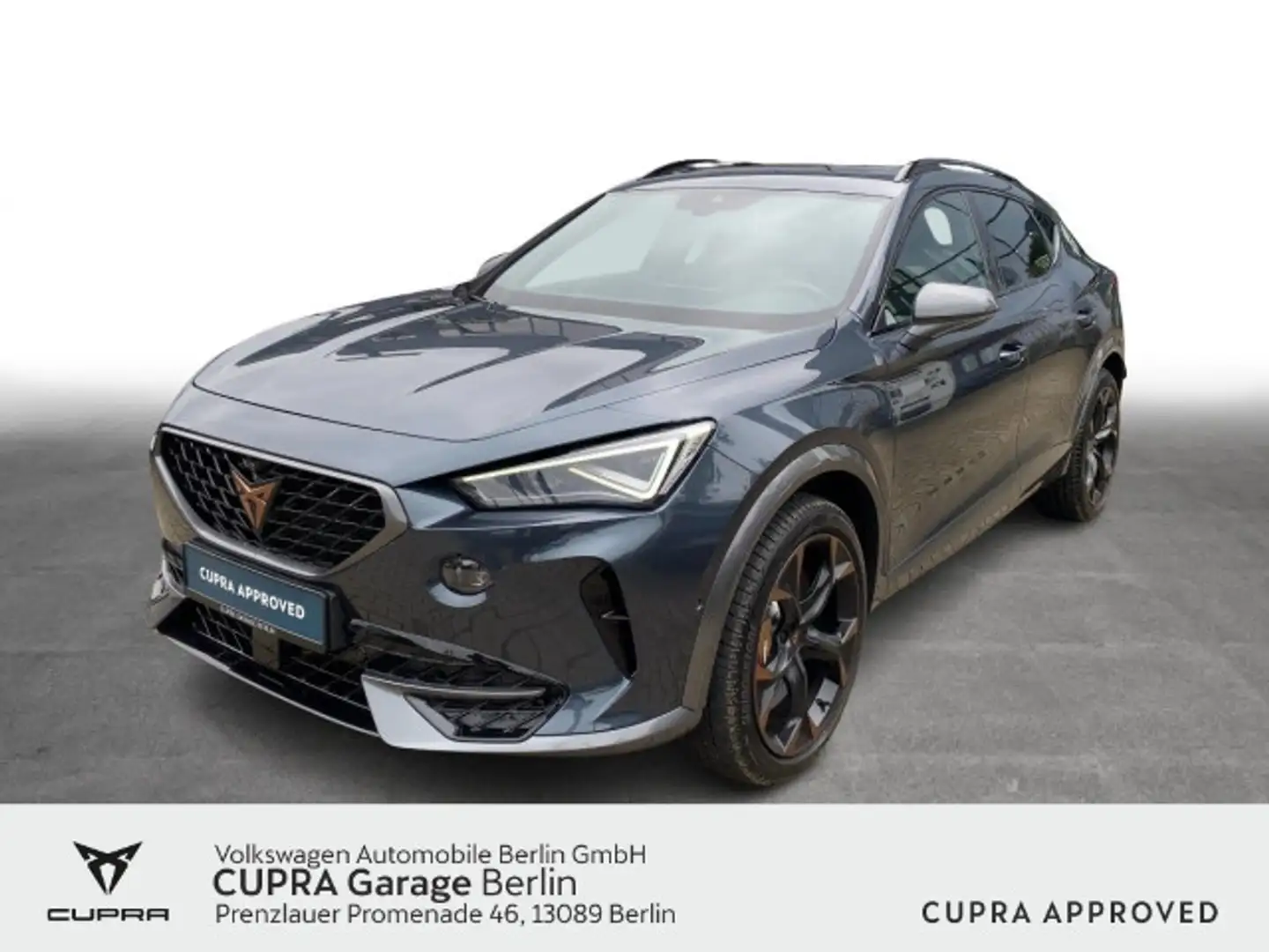 CUPRA Formentor VZ 2.0 TSI DSG 4Drive Navi LED SHZ PDC Grau - 1