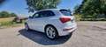 Audi SQ5 SQ5 3,0 TDI quattro DPF Tiptronic Weiß - thumbnail 2