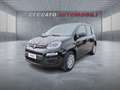 Fiat Panda Panda 1.0 firefly hybrid s&s 70cv Nero - thumbnail 1