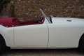 MG A 1500 Roadster Restored condition, Heritage certi Weiß - thumbnail 30