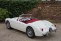 MG A 1500 Roadster Restored condition, Heritage certi Weiß - thumbnail 45