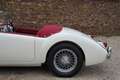 MG A 1500 Roadster Restored condition, Heritage certi Weiß - thumbnail 28