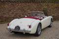MG A 1500 Roadster Restored condition, Heritage certi Weiß - thumbnail 6