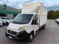 Fiat Ducato Ducato 35 2.3 MJT 130CV PM Cabinato Blanc - thumbnail 1