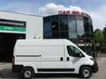 Fiat Ducato 2,2d Kasten L2H2 KAM/TEMP/KLIMA/ASSIST Weiß - thumbnail 16