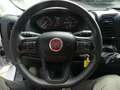 Fiat Ducato 2,2d Kasten L2H2 KAM/TEMP/KLIMA/ASSIST Weiß - thumbnail 12