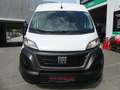 Fiat Ducato 2,2d Kasten L2H2 KAM/TEMP/KLIMA/ASSIST Weiß - thumbnail 20