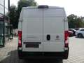 Fiat Ducato 2,2d Kasten L2H2 KAM/TEMP/KLIMA/ASSIST Weiß - thumbnail 22