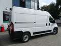 Fiat Ducato 2,2d Kasten L2H2 KAM/TEMP/KLIMA/ASSIST Weiß - thumbnail 19