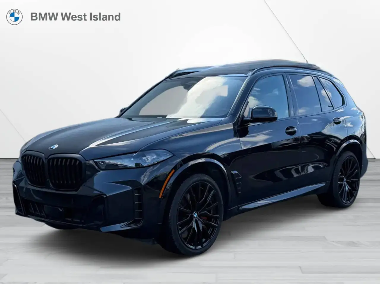 2025 BMW X5