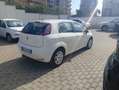 Fiat Punto Punto 1.3 MJT II 75 CV 5 porte Lounge Blanc - thumbnail 6