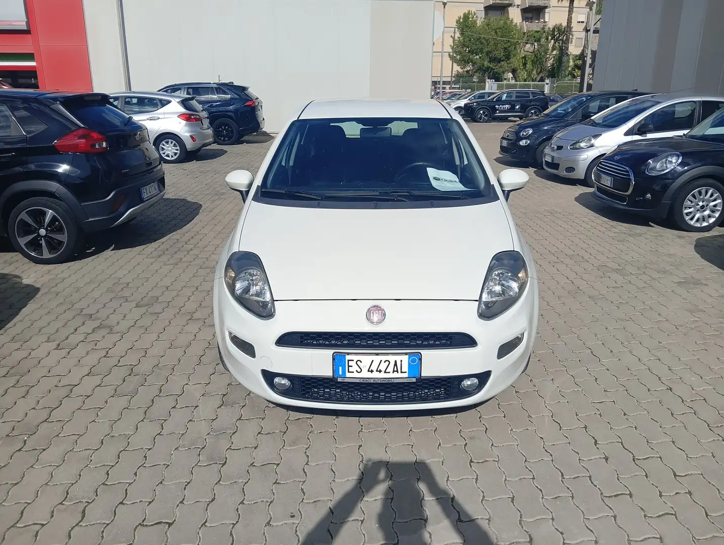 Fiat Punto Punto 1.3 MJT II 75 CV 5 porte Lounge Bianco - 2