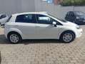 Fiat Punto Punto 1.3 MJT II 75 CV 5 porte Lounge Blanc - thumbnail 7
