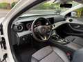 Mercedes-Benz E 200 T AVANTGARDE 9G-TRONIC/MBUX/KAM/LED/NAVI Weiß - thumbnail 10