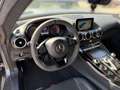 Mercedes-Benz AMG GT R Coupe Carbon-Paket Exterieur I & II Grau - thumbnail 12