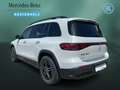 Mercedes-Benz EQB 350 EQB 350 4M AMG+NIGHT+DISTRO+PANO+360+HUD+KEYLESS Blanc - thumbnail 7