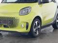 smart forTwo EQ Cabrio Passion Exclusive LED Kamera Grün - thumbnail 4