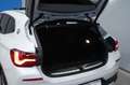 BMW X2 SDRIVE 18I ADVANTAGE 1.5 140CV AT7 Wit - thumbnail 14