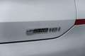 BMW X2 SDRIVE 18I ADVANTAGE 1.5 140CV AT7 Wit - thumbnail 12