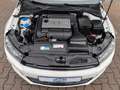 Volkswagen Scirocco R 2.0 TSI 195 kW R *20"Alu* Bianco - thumbnail 11