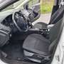 Ford Focus 1.5TDCi ST-Line PS 120 Weiß - thumbnail 7