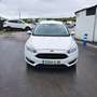 Ford Focus 1.5TDCi ST-Line PS 120 Weiß - thumbnail 2