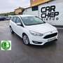 Ford Focus 1.5TDCi ST-Line PS 120 Weiß - thumbnail 3