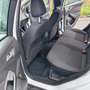 Ford Focus 1.5TDCi ST-Line PS 120 Weiß - thumbnail 9