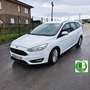Ford Focus 1.5TDCi ST-Line PS 120 Weiß - thumbnail 1