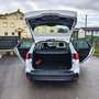 Ford Focus 1.5TDCi ST-Line PS 120 Weiß - thumbnail 11