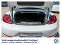 Volkswagen Beetle Cabriolet Design 1.4 TSI Navi PDC SHZ Blanc - thumbnail 10