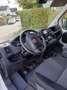 Fiat Ducato Ducato L1H1 Weiß - thumbnail 6