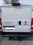 Fiat Ducato Ducato L1H1 Weiß - thumbnail 4
