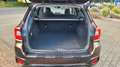 Subaru OUTBACK Outback Sport Braun - thumbnail 7