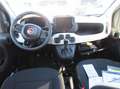 Fiat Panda 1.0 firefly hybrid s&s 70cv Grün - thumbnail 5