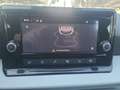 SEAT Ibiza Reference 1.0 Grau - thumbnail 18