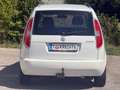 Skoda Roomster Praktik - Anhängerkupplung - Klima - Kredit Weiß - thumbnail 4