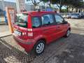 Fiat Panda 1.1 Active con 162.000km 2010 Neopatentati ok 5p - thumbnail 5