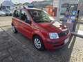 Fiat Panda 1.1 Active con 162.000km 2010 Neopatentati ok 5p - thumbnail 1