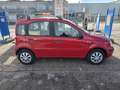 Fiat Panda 1.1 Active con 162.000km 2010 Neopatentati ok 5p - thumbnail 2