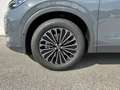 Volkswagen Tiguan Friends TDI DSG Grau - thumbnail 13
