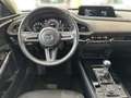 Mazda CX-30 2.0 Skyactiv G Selection *Navi* *Sitzheizung* *LED Rosso - thumbnail 12