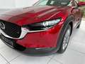 Mazda CX-30 2.0 Skyactiv G Selection *Navi* *Sitzheizung* *LED Rosso - thumbnail 17