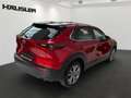 Mazda CX-30 2.0 Skyactiv G Selection *Navi* *Sitzheizung* *LED Rosso - thumbnail 4