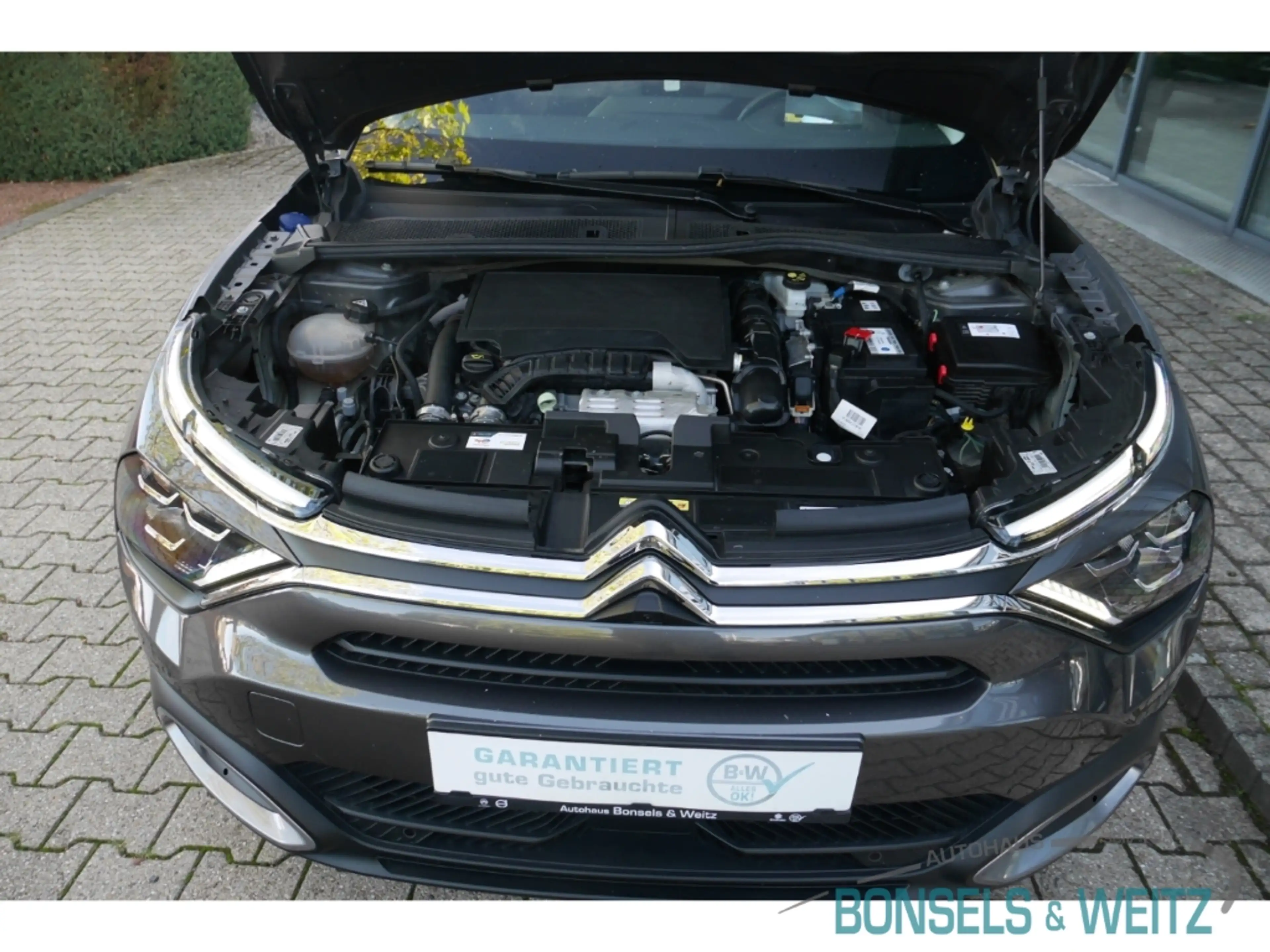 Citroen C4 PURETECH 130 S&S EAT8 MAX HUD Navi Digitales Cockp — photo 13