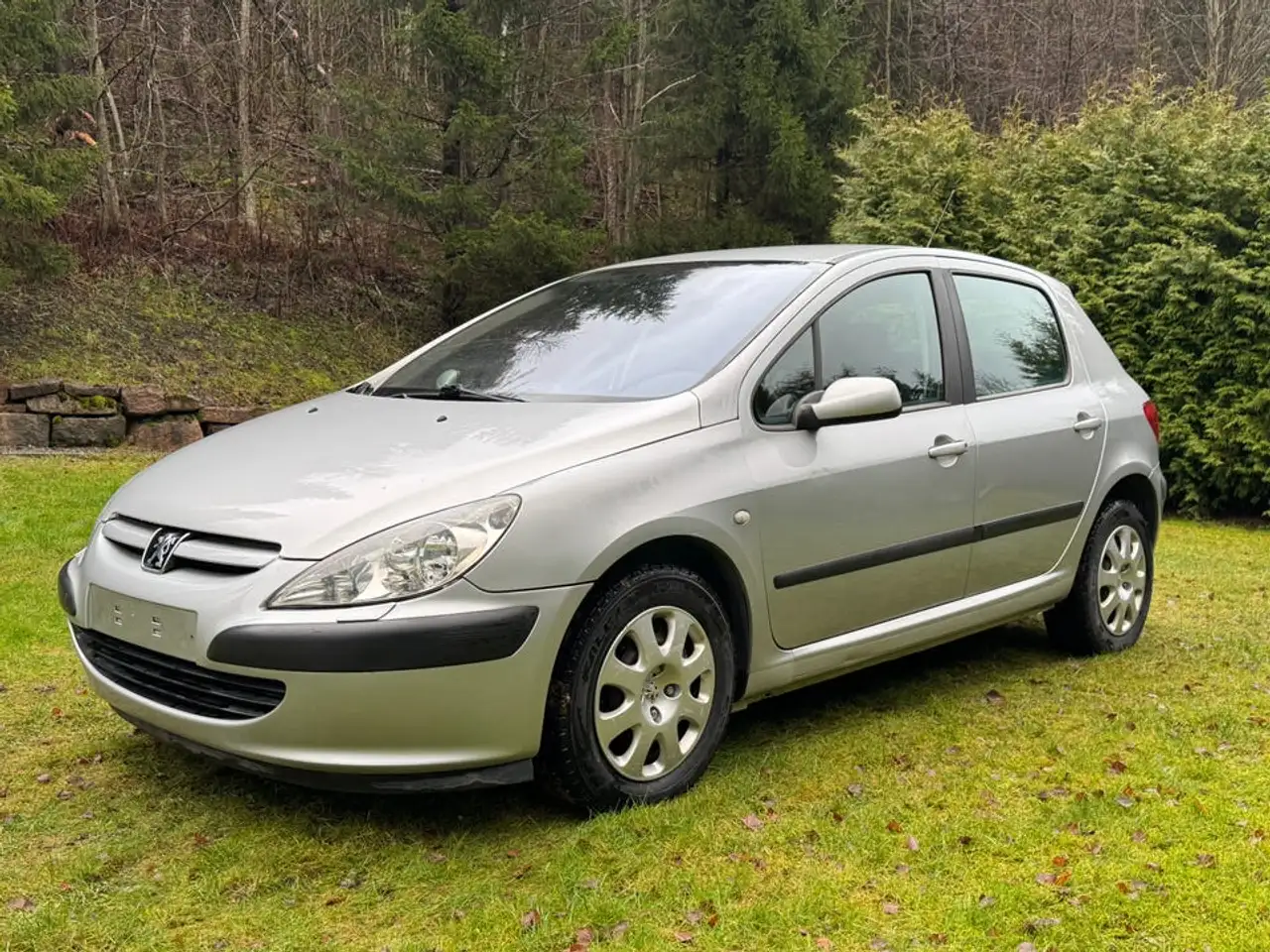 Peugeot 307 1.6i 16V XT A