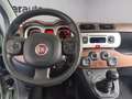 Fiat Panda 1.3 mjt 16v Cross 4x4 s&s 95cv Verde - thumbnail 6