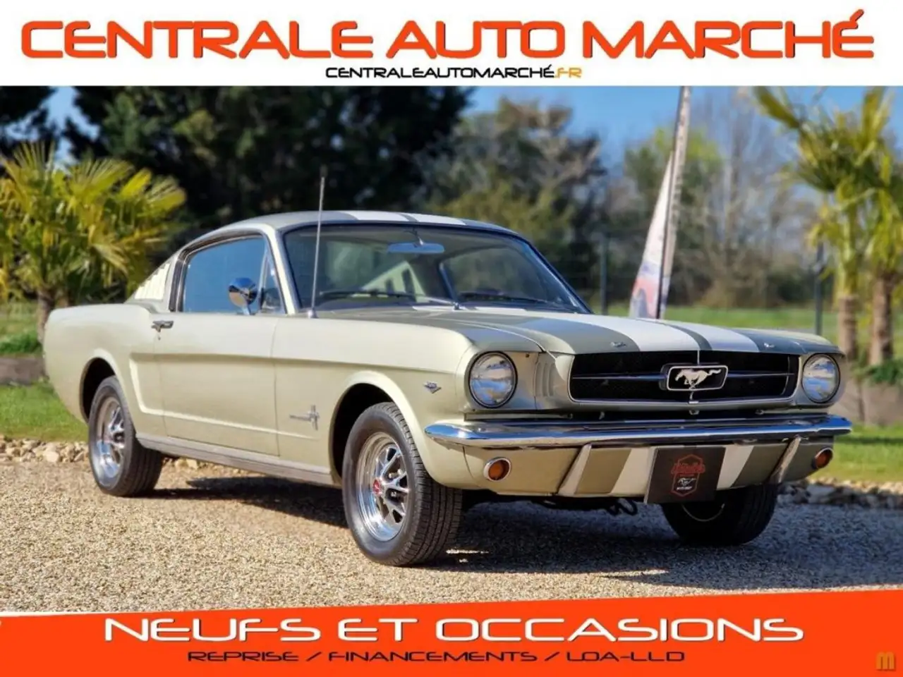 Ford Mustang 289 CI V8 CHAMPAGNE 1965, foto 1