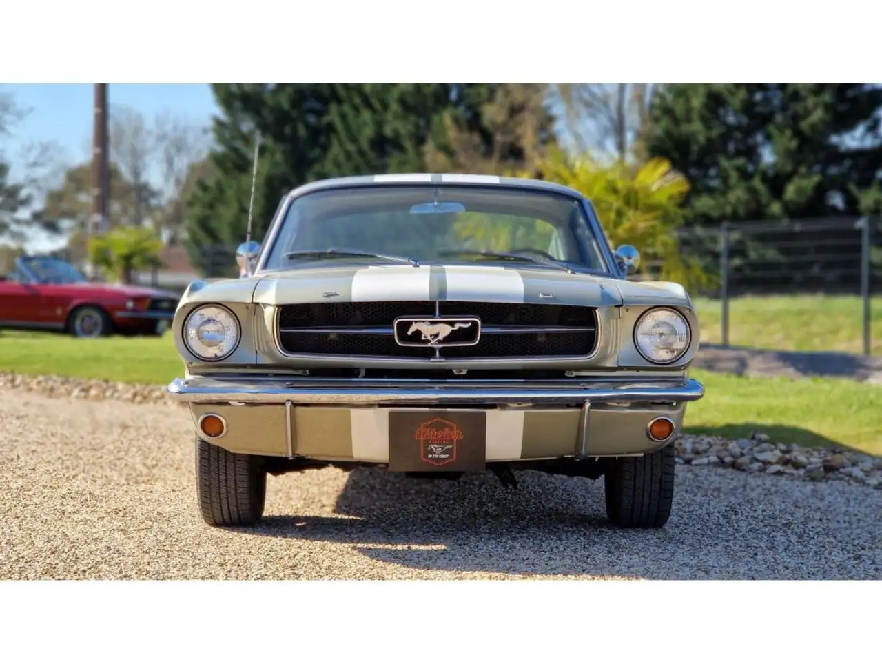 Ford Mustang 289 CI V8 CHAMPAGNE 1965, foto 3